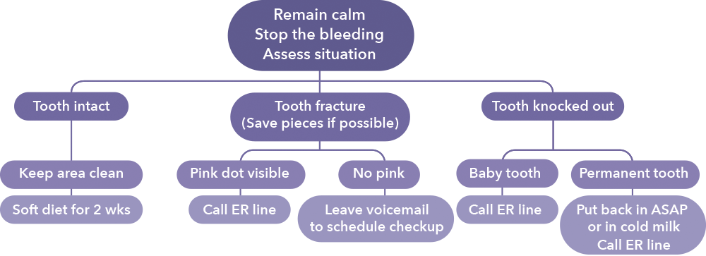 trauma_chart